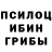 Псилоцибиновые грибы ЛСД Falak Janjua