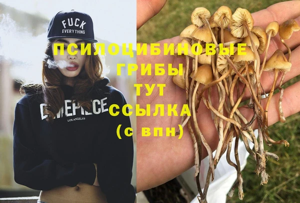 герыч Баксан